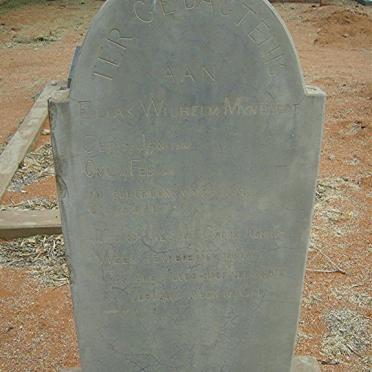 MYNHARDT Elias Wilhelm 1860-1931