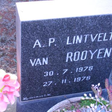 ROOYEN A.P. Lintvelt, van 1978-1978
