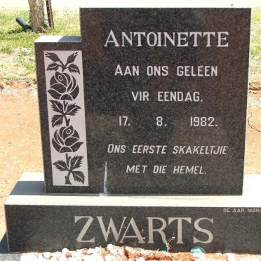 ZWARTS Antoinette 1982-1982