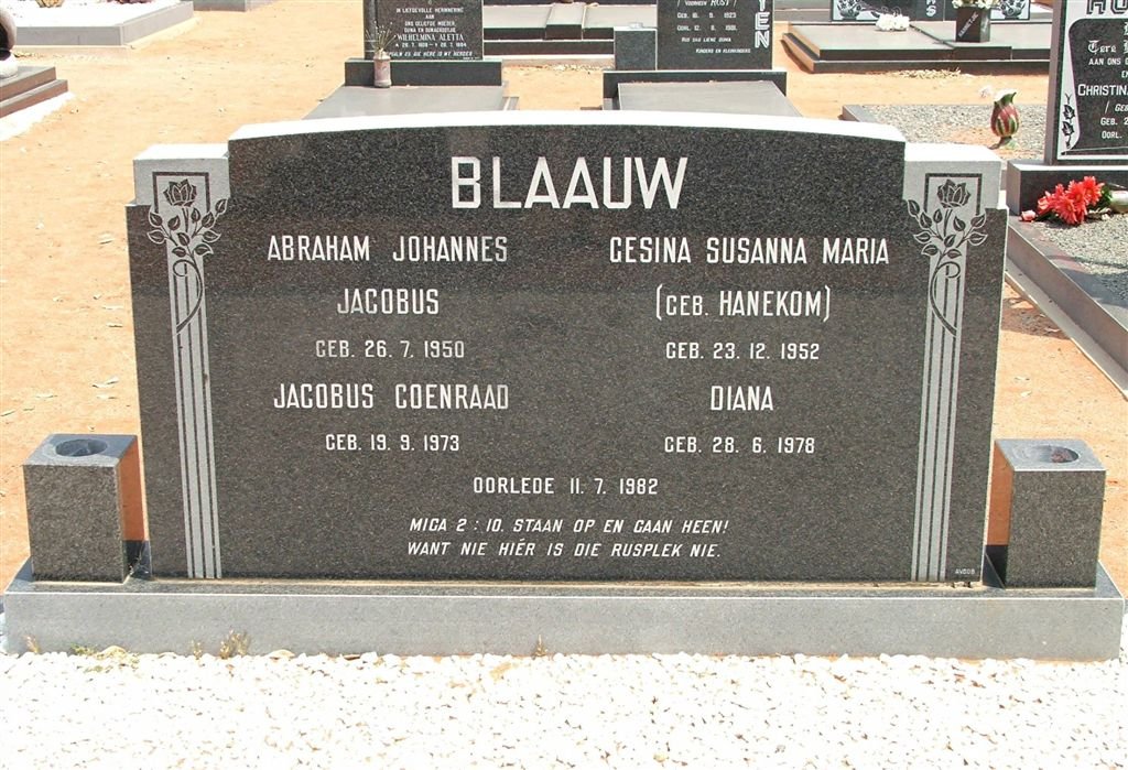 BLAAUW :: HANEKOM