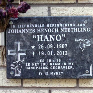 NEETHLING Johannes Henoch 1967-2013