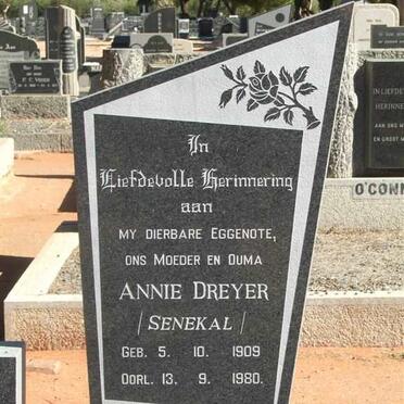 MERWE Annie, van der nee DREYER 1909-1980