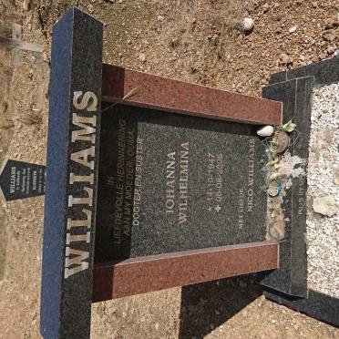 WILLIAMS Johanna Wilhelmina 1947-2008