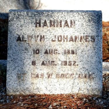 HAMMAN Alwyn Johannes 1881-1952
