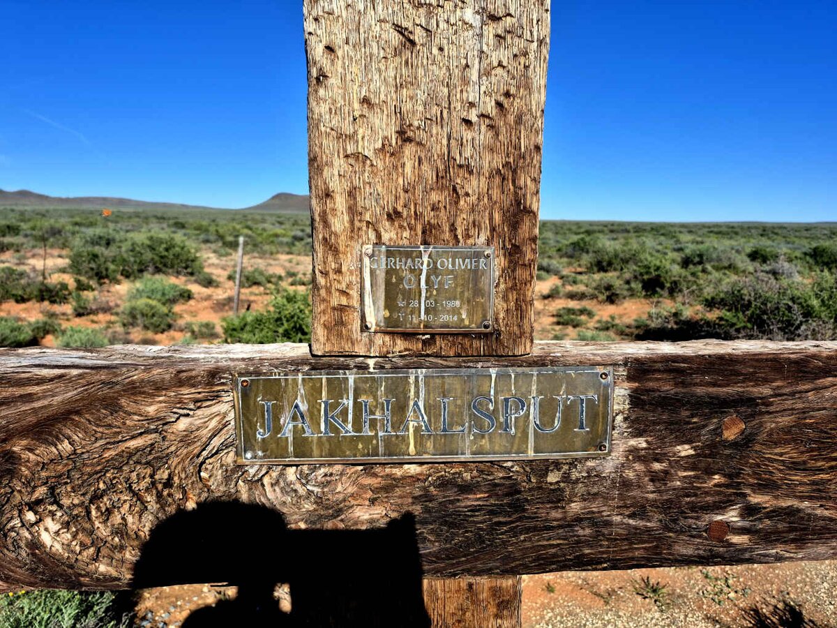 OLIVIER Gerhard 1980-2014_1