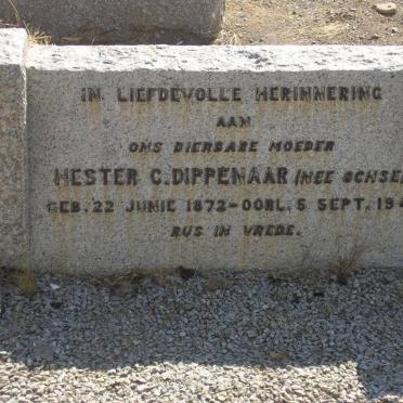 DIPPENAAR Hester C. nee OCHSE 1872-1941