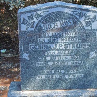 STRAUSS Gesina J.P. nee MALAN 1905-1954