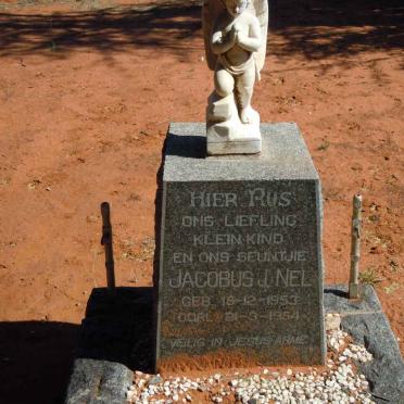 NEL Jacobus J. 1953-1954