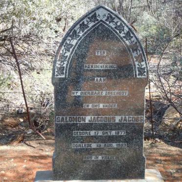 JACOBS Salomon Jacobus 1877-1953