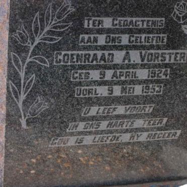 VORSTER Coenraad A. 1924-1953