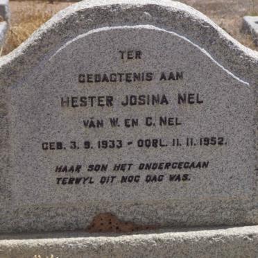 N - Vanne :: Surnames - N