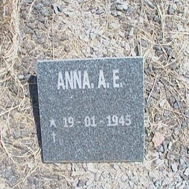 HANEKOM Anna A. E. 1945-
