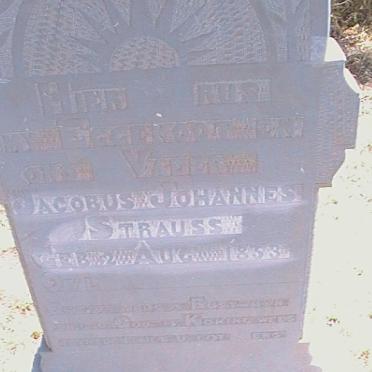 STRAUSS Jacobus Johannes 1853 -