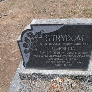 STRYDOM Cornelia 1886-1964