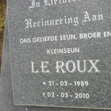VRIES Le Roux, de 1989-2010