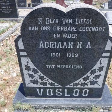VOSLOO Adriaan H.A. 1901-1963