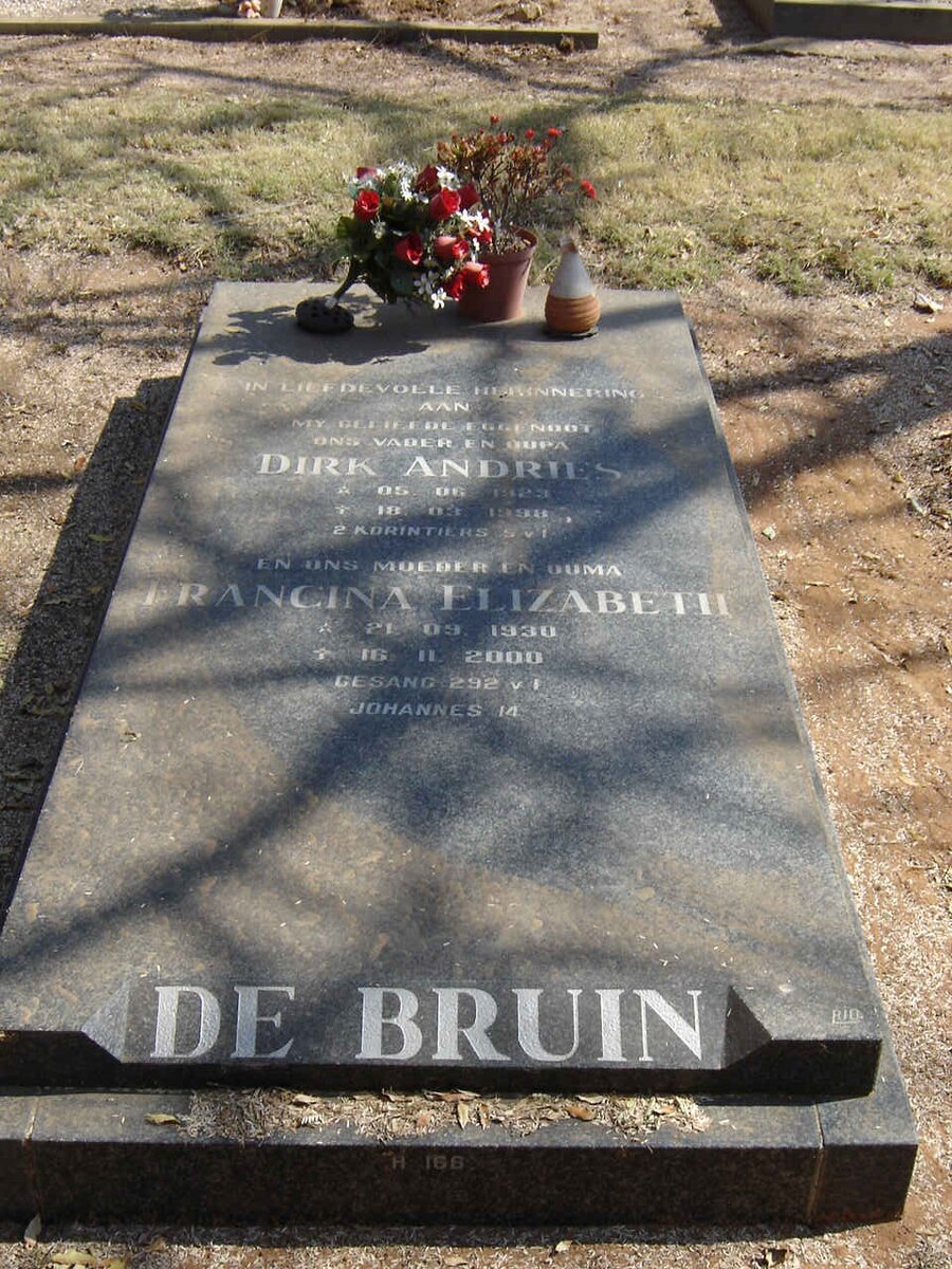 BRUIN Dirk Andries DE