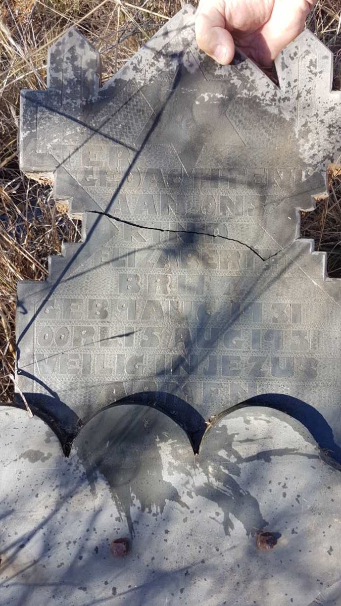 BRITZ Elizabeth 1931-1931