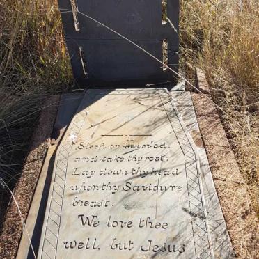 STOLTZ A?ie H. 1926-1928