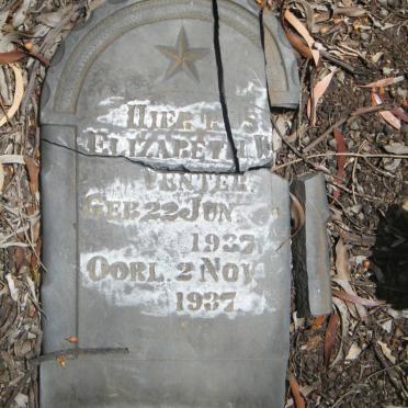 VENTER Elizabeth W. 1937-1937
