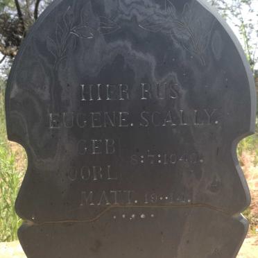 North West, BRITS district, Beestkraal 199, farm cemetery_5