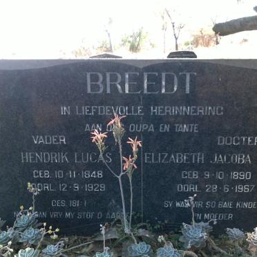 BREEDT Hendrik Lucas 1848-1929 :: BREEDT Elizabeth Jacoba Maria 1890-1967