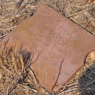 North West, BRITS district, Broederstroom, Hartbeesthoek 498, farm cemetery_4