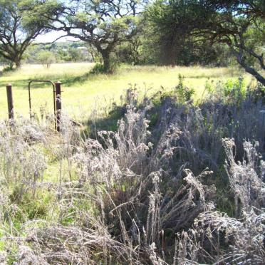 North West, BRITS district, Beestkraal 199, farm cemetery_2