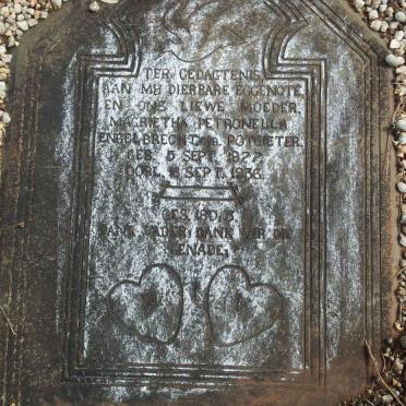 ENGELBRECHT Magrietha Petronella nee POTGIETER 1877-1936