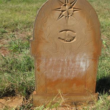 HENNING Jakobus C.S. 1903-1928