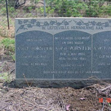 VORSTER A.W.J. 1917-1921 :: VORSTER A.W.J. 1884-1922 :: VORSTER A.W.J. 1913-1913