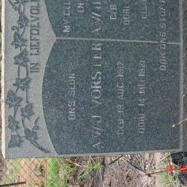 VORSTER A.W.J. 1917-1921