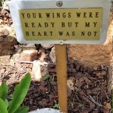 STOLTZ Petrus Andreas 1952-2020