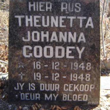 GOODEY Theunetta Johanna 1948-1948
