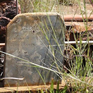 ENGELBRECHT Johanna Jacoba 1908-?