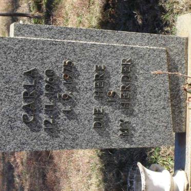 STEENKAMP Carla 1960-1975