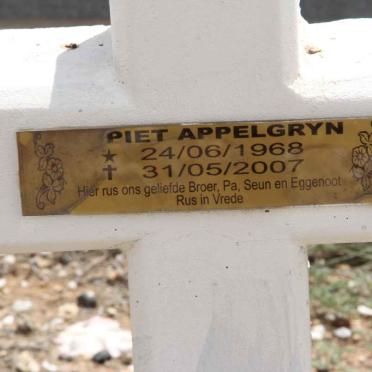 APPELGRYN Piet 1968-2007