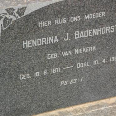 BADENHORST Hendrina J. nee van NIEKERK 1871-1958