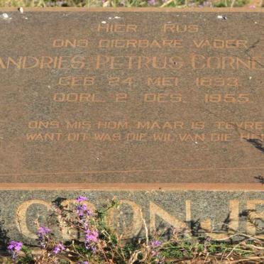 CRONJE Andries Petrus Cornelius 1893-1955