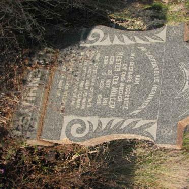 GELDENHUYS Hester nee MOLLER 1911-1950