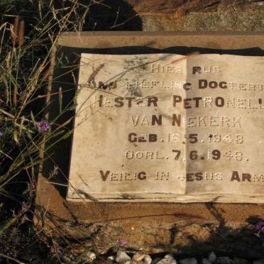 NIEKERK Hester Petronella, van 1948-1948