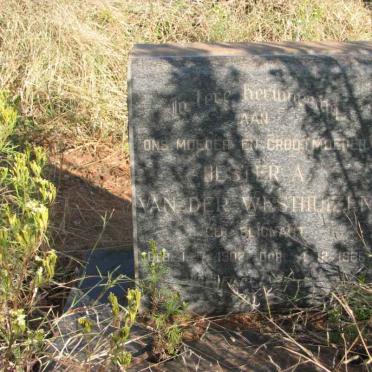 WESTHUIZEN Hester A., van der nee BLIGNAUT 1902-1966