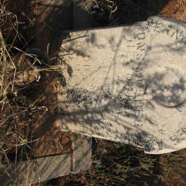 ? Hendrika Johanna ?-?