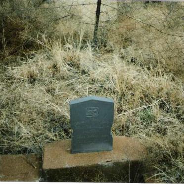 ZYL Maria Magdalena, van