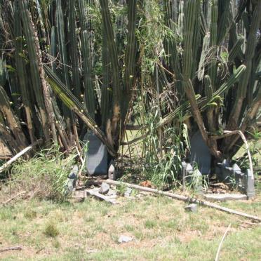 North West, COLIGNY district, Varkfontein 59 IP, Varkfontein farm cemetery_4