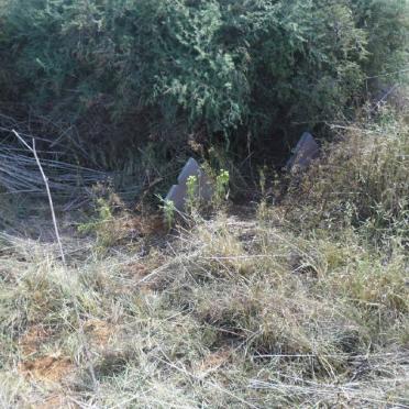 1. Overview on graves