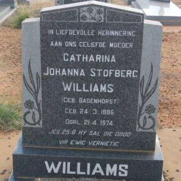 North West, COLIGNY district, Doornbult 328 IP, farm cemetery_5