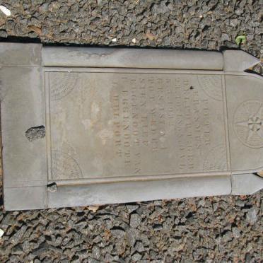 DELPORT Pieter Erasmus 1858-1932