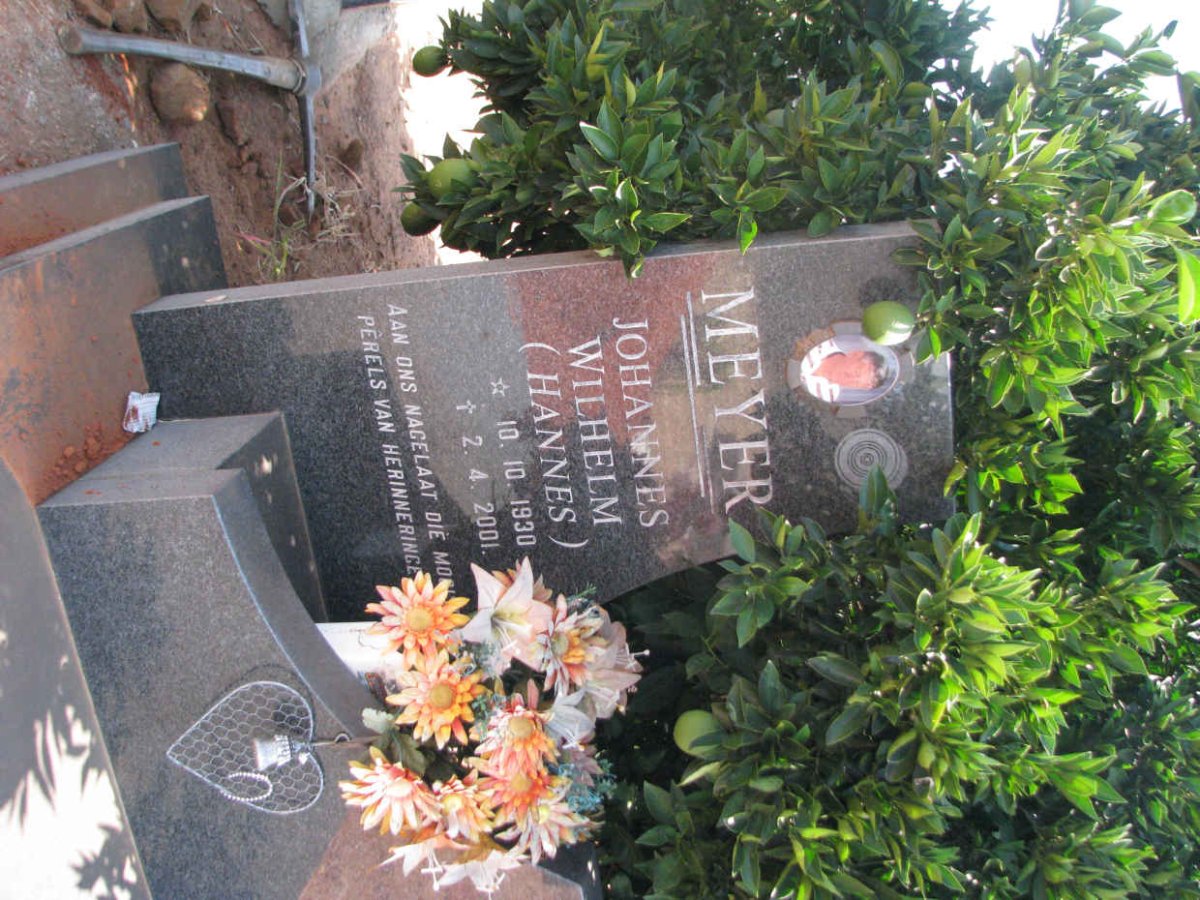 MEYER Johannes Wilhelm 1930-2001