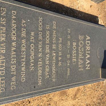 BOSMAN Adriaan 1953-1998 :: BOSMAN Jan Gideon 1981-2009